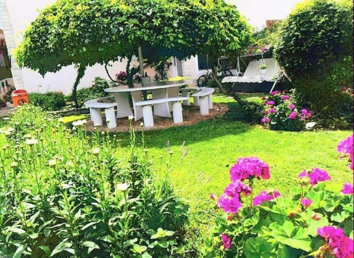 Apartments Esperanza Pašman المظهر الخارجي الصورة