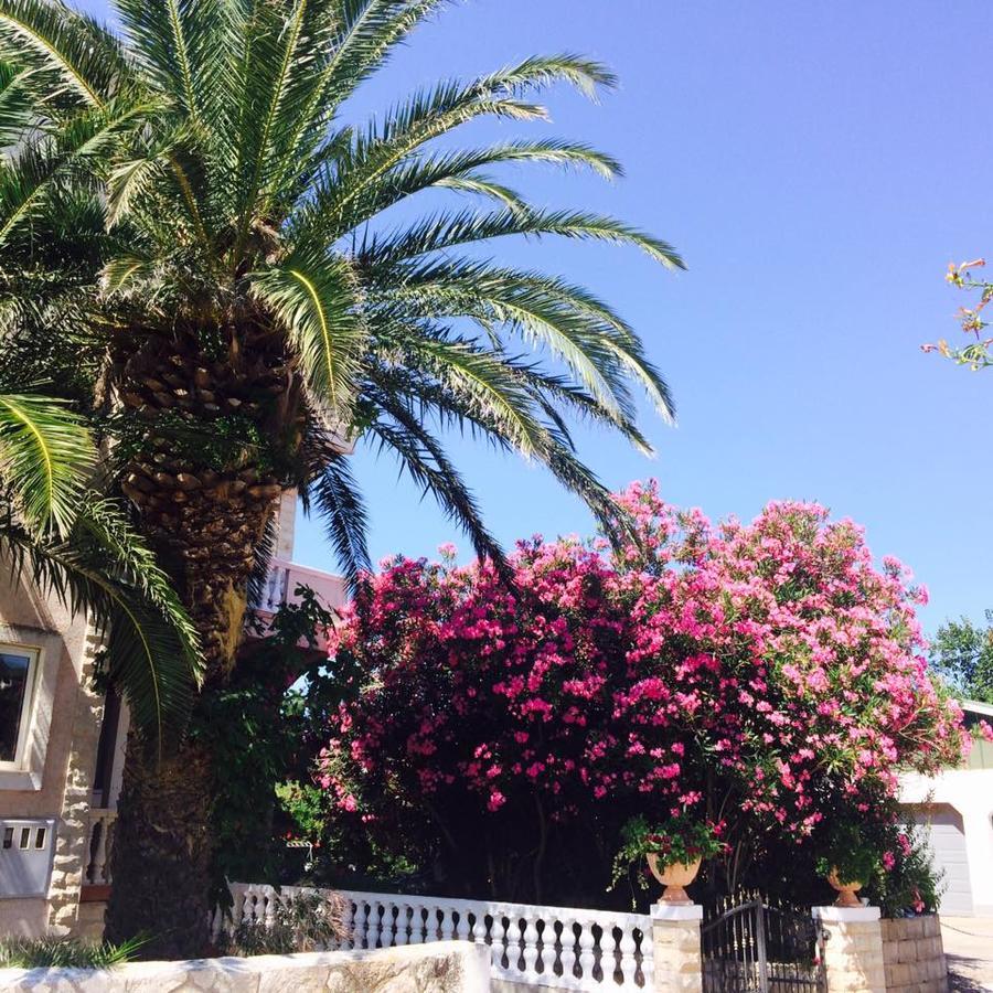 Apartments Esperanza Pašman المظهر الخارجي الصورة